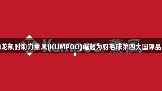 尊龙凯时助力薰风(KUMPOO)崛起为羽毛球第四大国际品牌