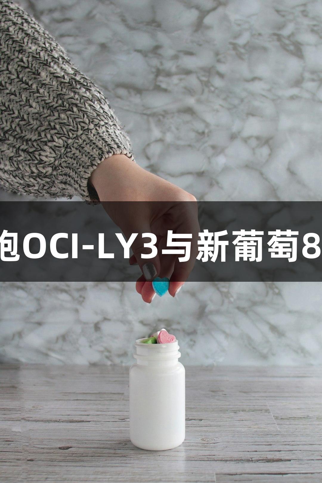 人弥漫大B细胞淋巴瘤细胞OCI-LY3与新葡萄8883官网AMG的研究进展