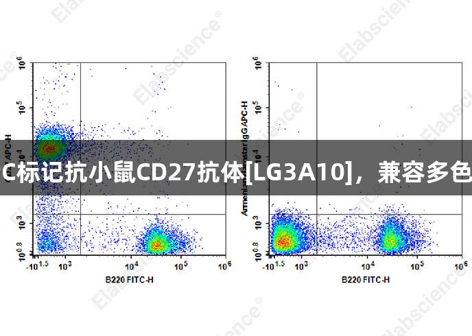 尊龙凯时推出新款APC标记抗小鼠CD27抗体[LG3A10]，兼容多色标记，提升实验效率！