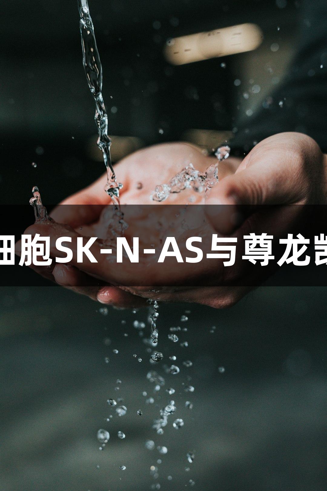 人脑神经母细胞瘤细胞SK-N-AS与尊龙凯时的生物医疗研究