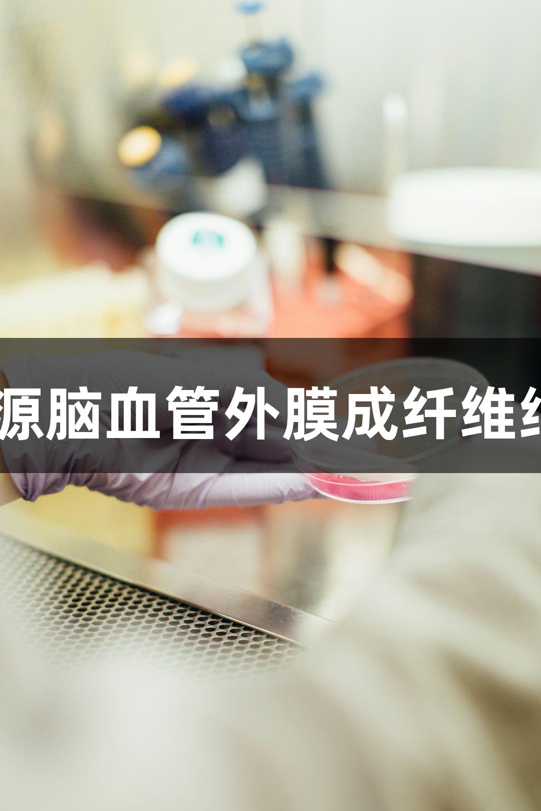 不朽情缘MG: 人源脑血管外膜成纤维细胞技术参数分析