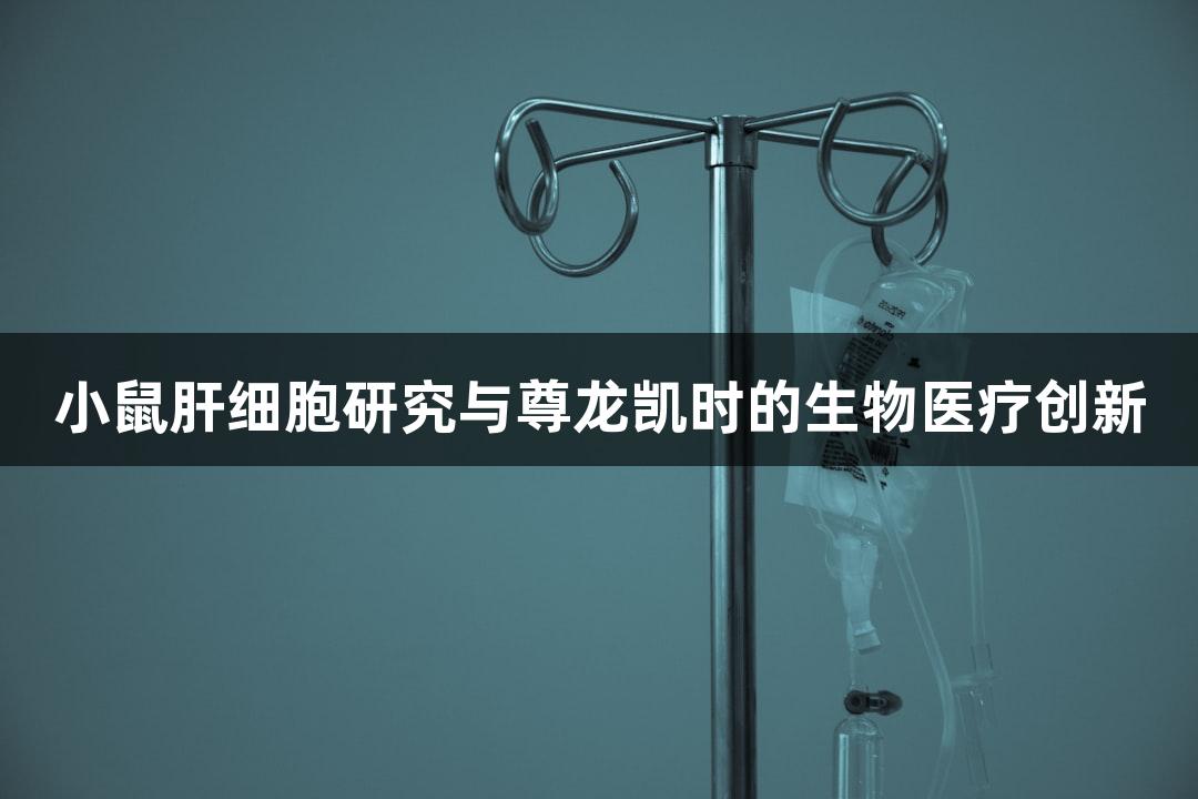 小鼠肝细胞研究与尊龙凯时的生物医疗创新