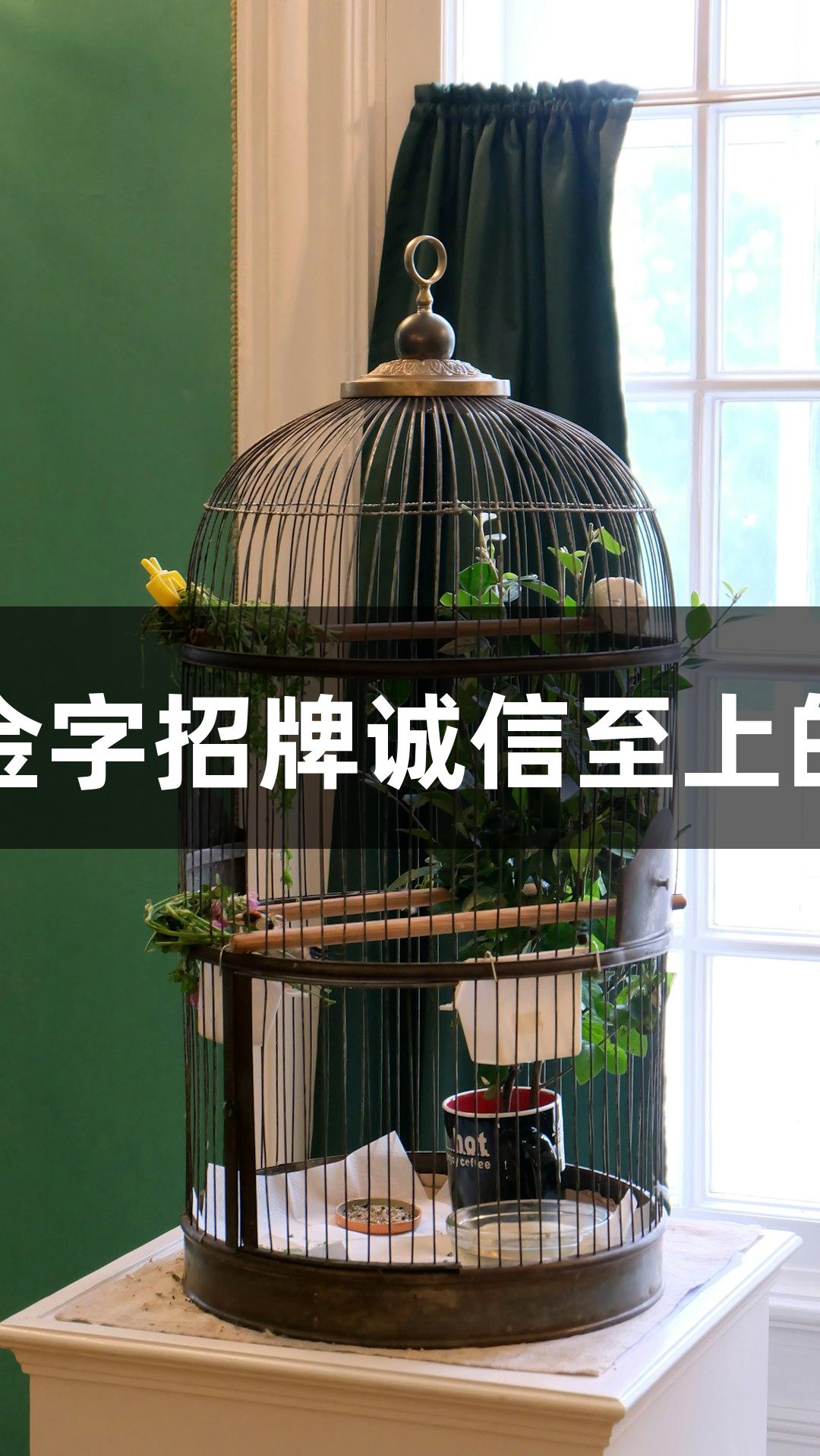 端粒酶：金年会金字招牌诚信至上的生命时钟守护者