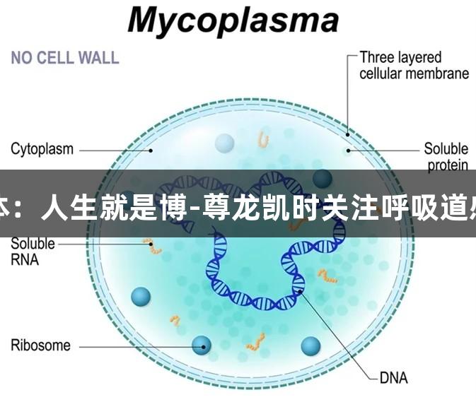 揭秘肺炎支原体：人生就是博-尊龙凯时关注呼吸道感染的隐形杀手