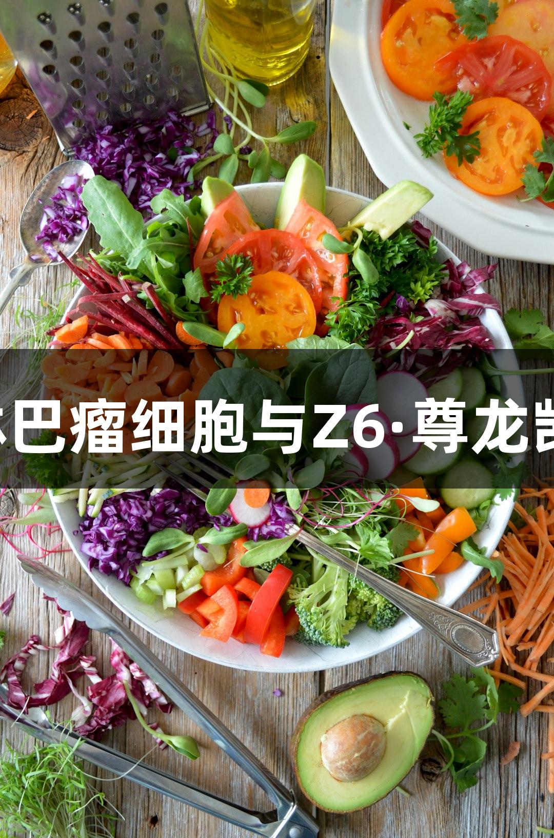 人弥漫性大B细胞淋巴瘤细胞与Z6·尊龙凯时的生物医疗探索
