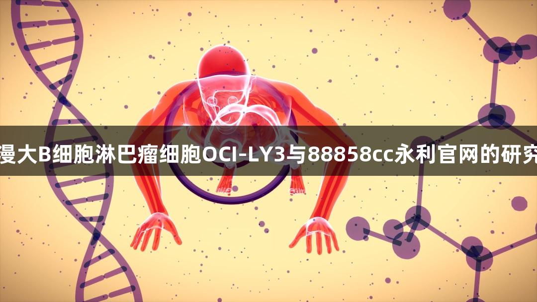 人弥漫大B细胞淋巴瘤细胞OCI-LY3与88858cc永利官网的研究进展