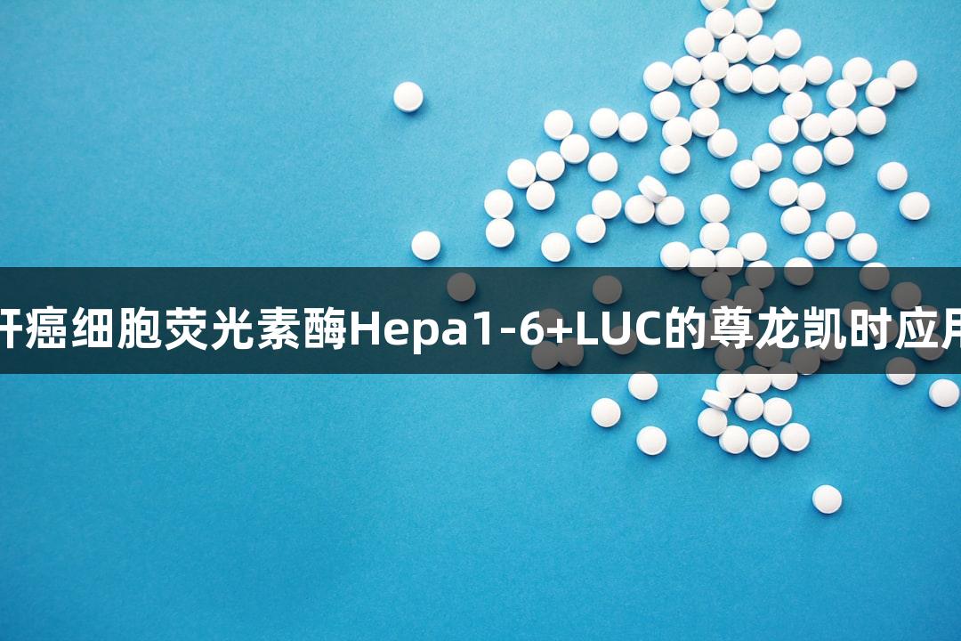 小鼠肝癌细胞荧光素酶Hepa1-6+LUC的尊龙凯时应用研究