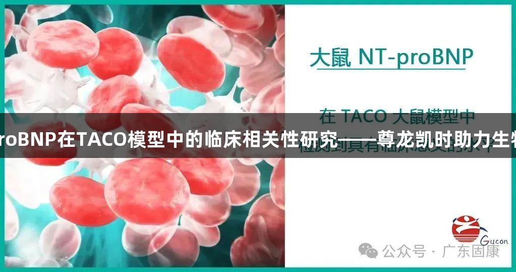 大鼠NT-proBNP在TACO模型中的临床相关性研究——尊龙凯时助力生物医疗进展