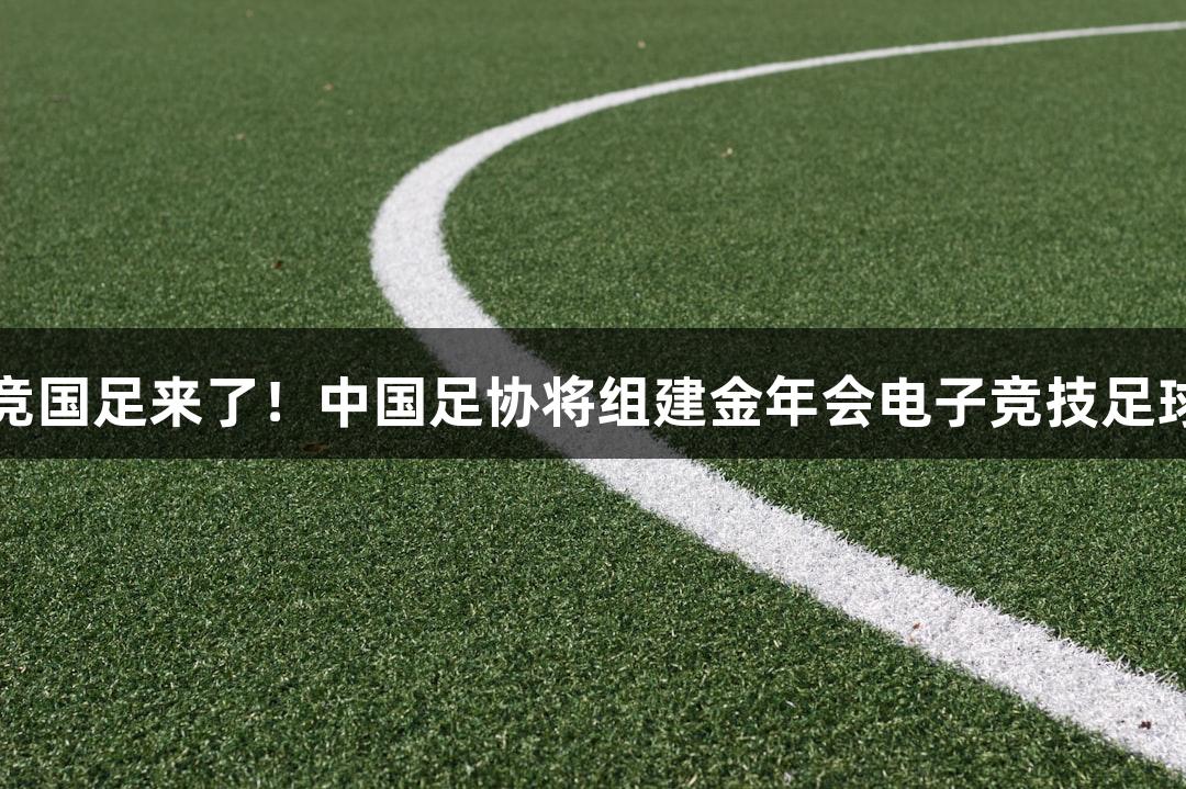 电竞国足来了！中国足协将组建金年会电子竞技足球队