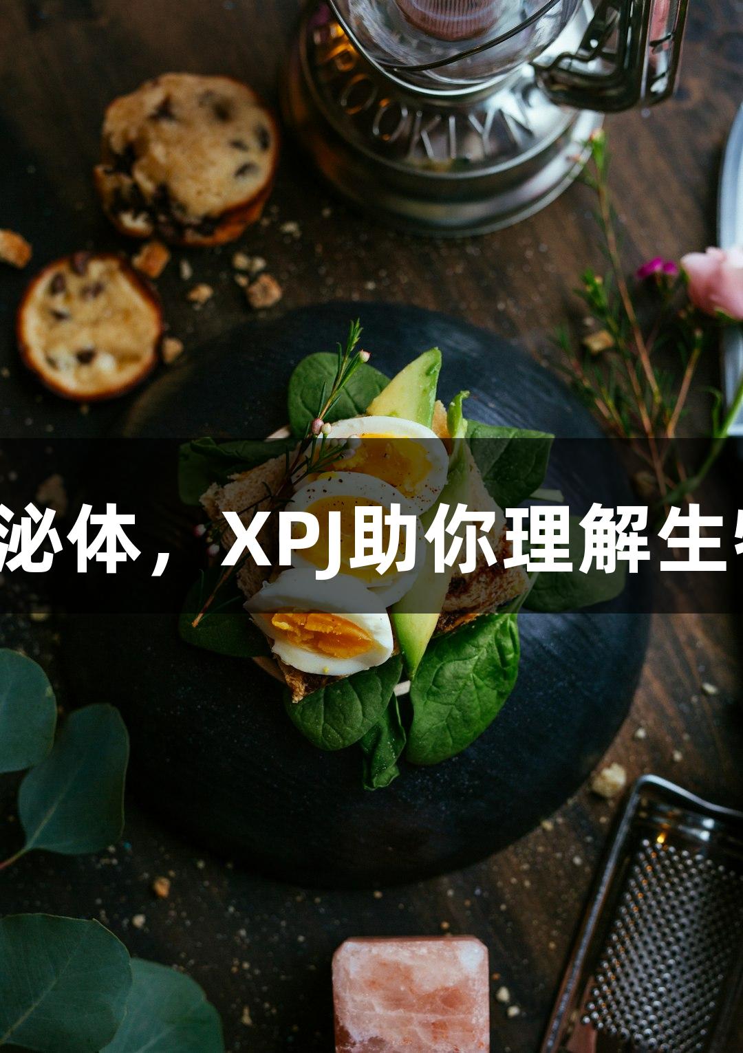 3步解析外泌体，XPJ助你理解生物医疗领域