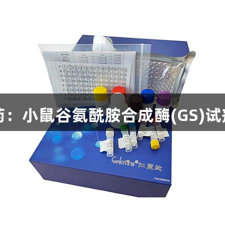 尊龙凯时生物医药：小鼠谷氨酰胺合成酶(GS)试剂盒实验原理解析
