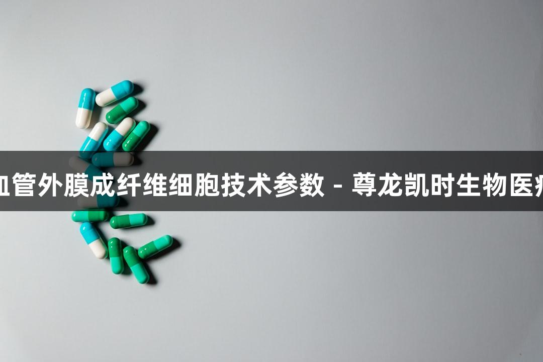 人原代脑血管外膜成纤维细胞技术参数 - 尊龙凯时生物医疗创新解析