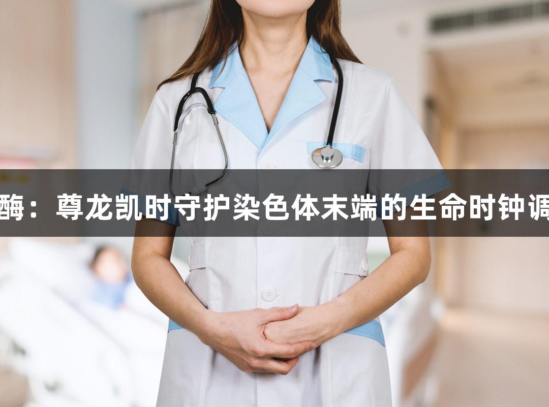 端粒酶：尊龙凯时守护染色体末端的生命时钟调控者