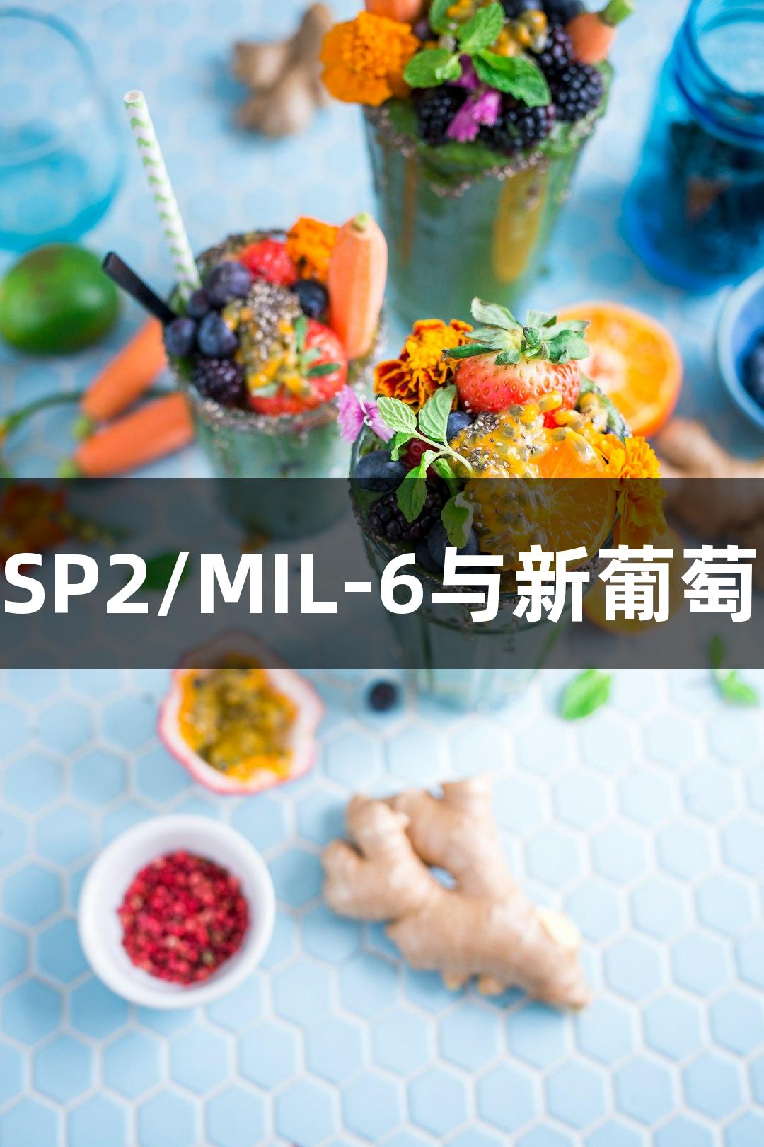 小鼠骨髓瘤B淋巴细胞SP2/MIL-6与新葡萄8883官网AMG的研究