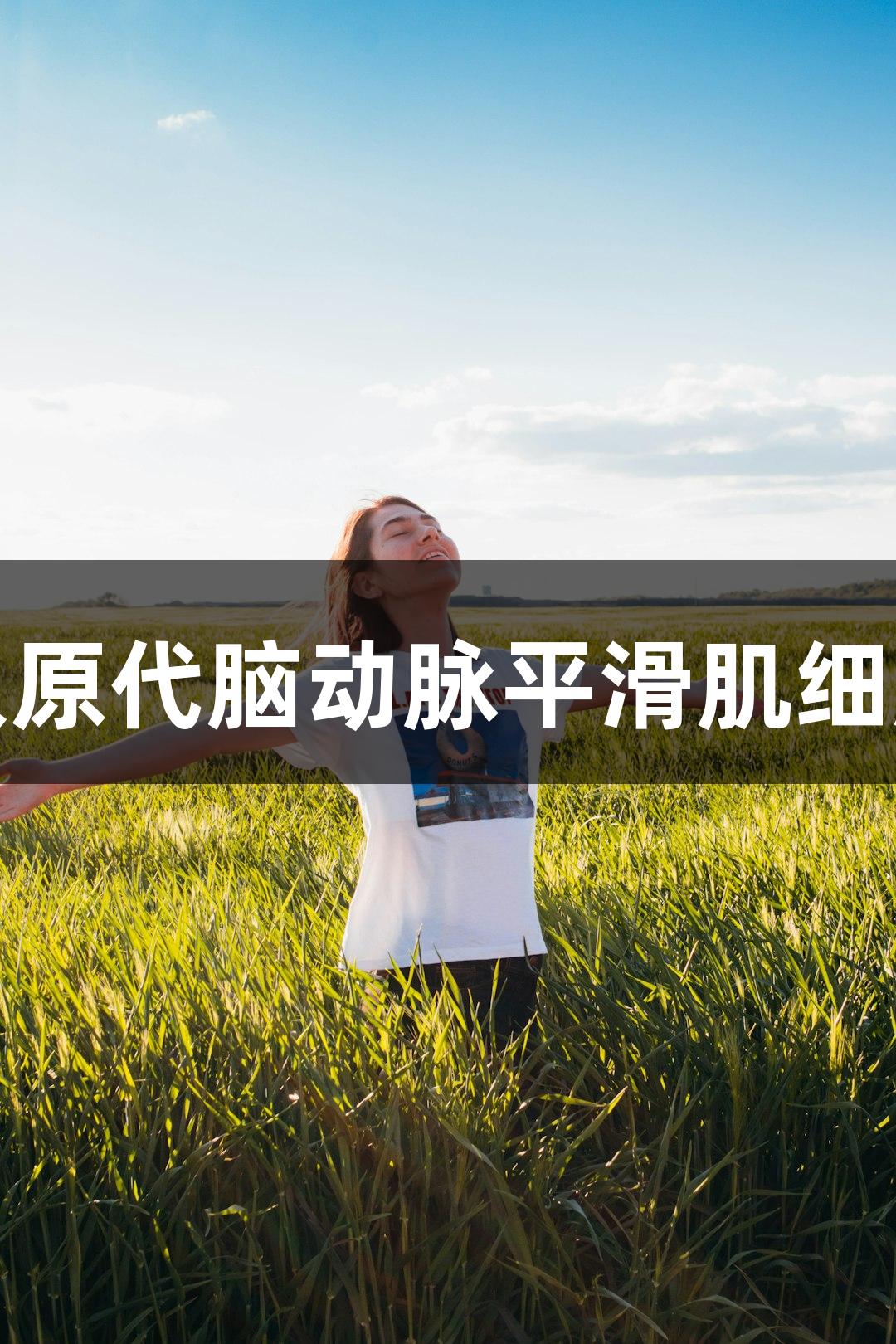 尊龙凯时人原代脑动脉平滑肌细胞技术参数