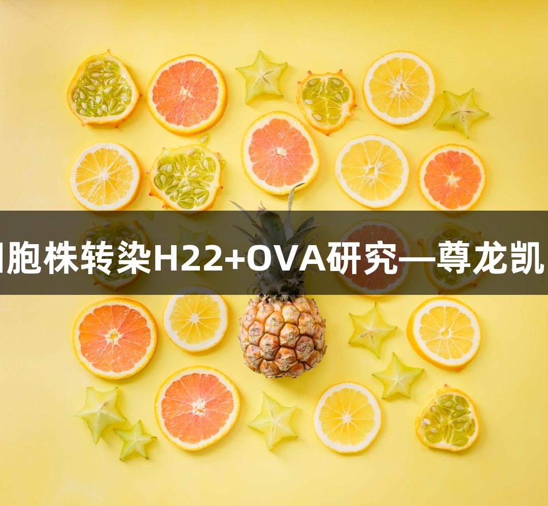 小鼠肝癌细胞株转染H22+OVA研究—尊龙凯时品牌探索