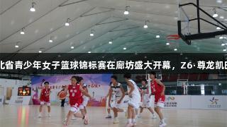 2025年河北省青少年女子篮球锦标赛在廊坊盛大开幕，Z6·尊龙凯时助力赛事！