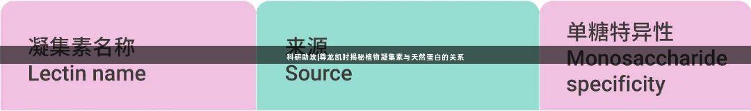 科研助攻|尊龙凯时揭秘植物凝集素与天然蛋白的关系