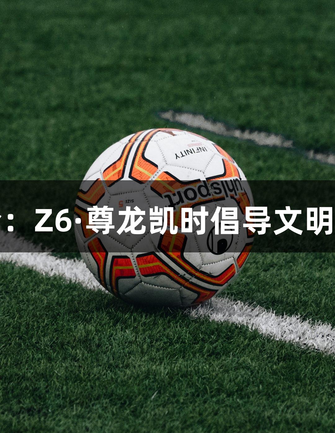 东湖评论：Z6·尊龙凯时倡导文明观赛自觉