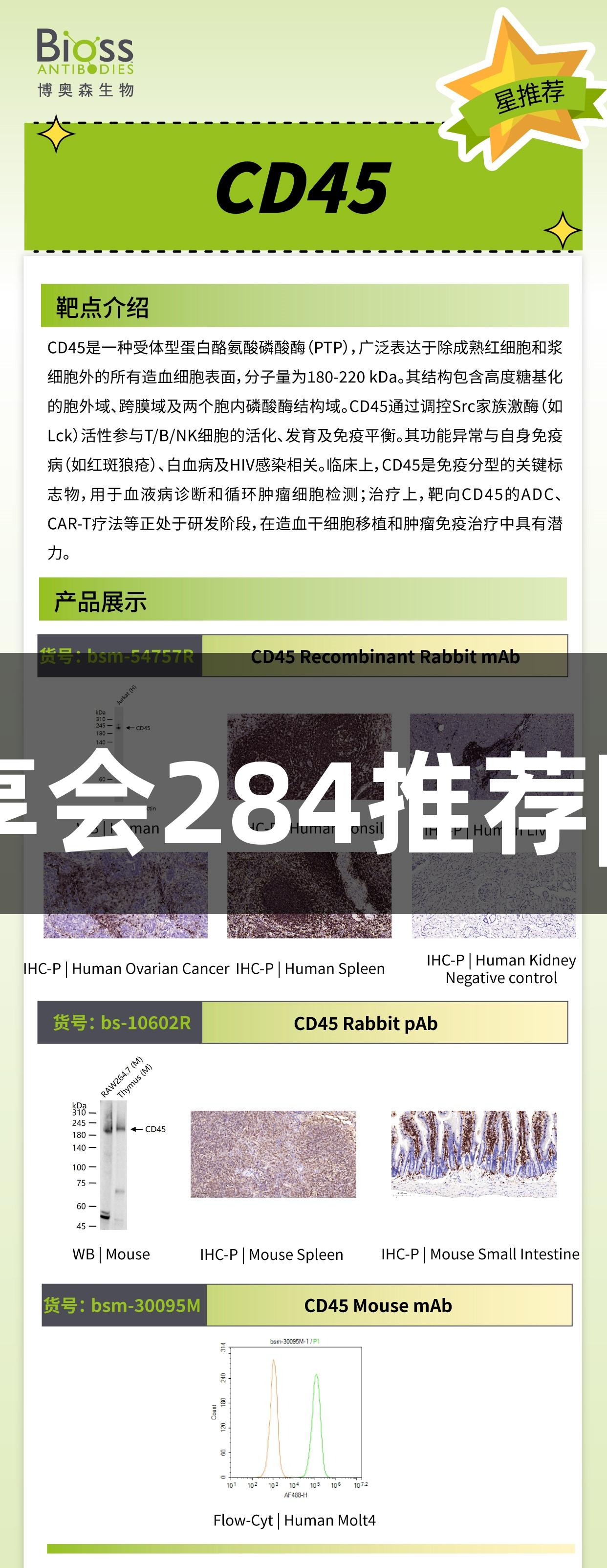 俄罗斯专享会284推荐|CD45抗体