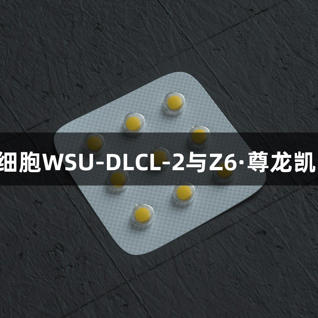人弥漫大B淋巴瘤细胞WSU-DLCL-2与Z6·尊龙凯时的生物医疗研究