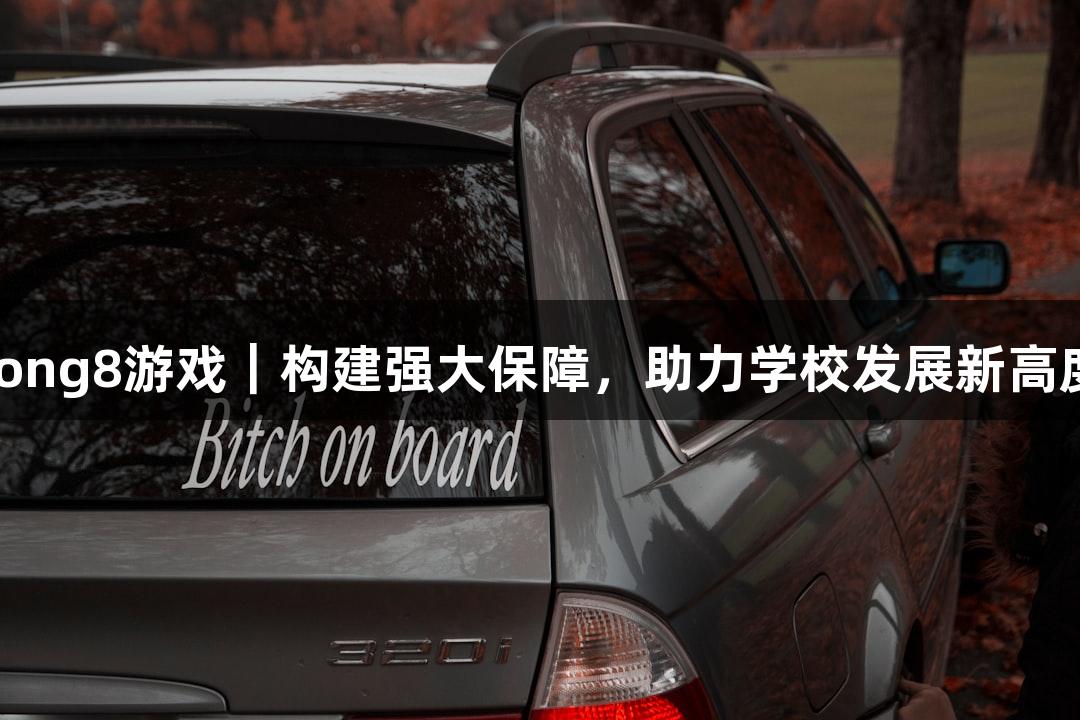 long8游戏｜构建强大保障，助力学校发展新高度