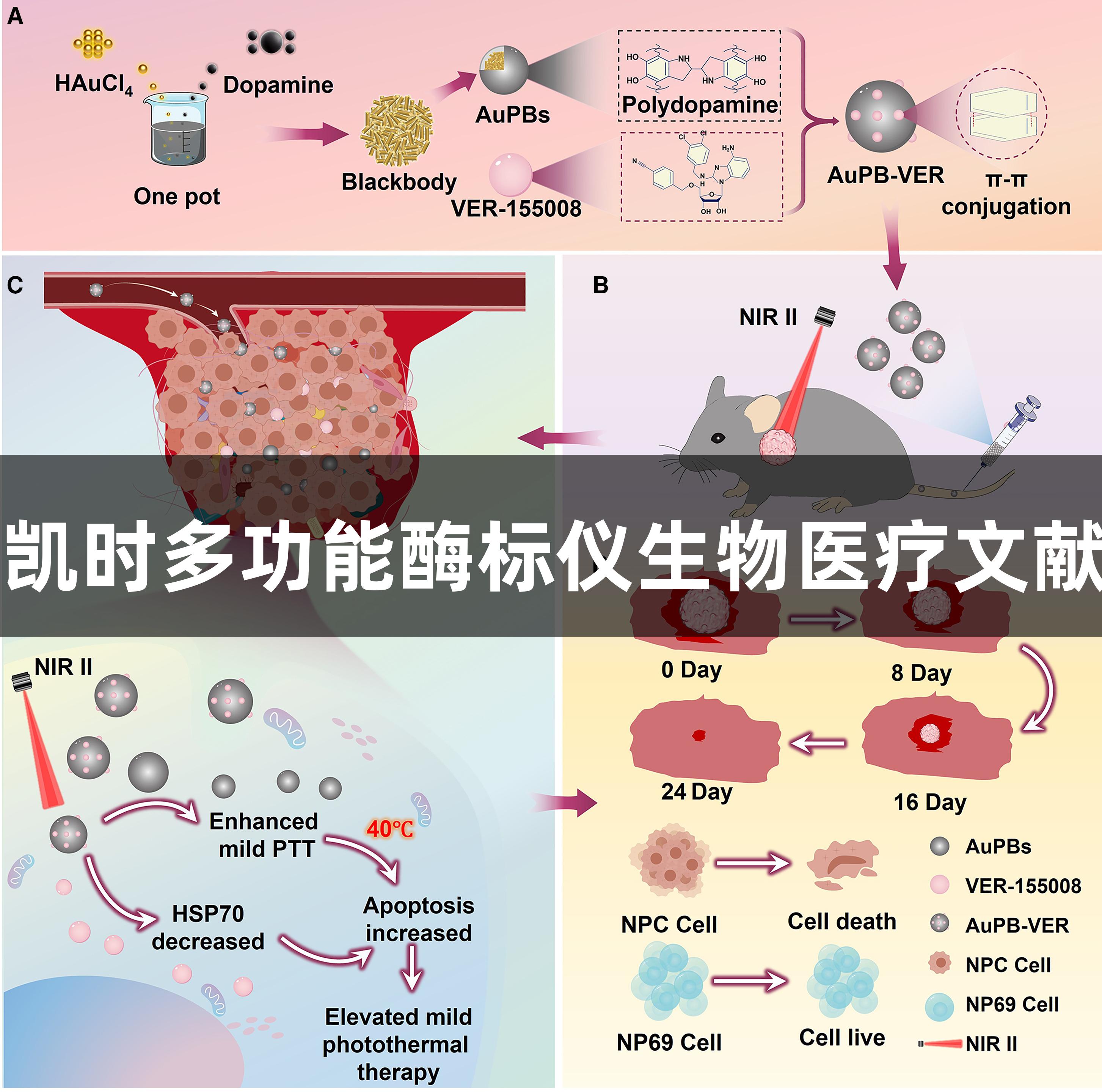 尊龙凯时多功能酶标仪生物医疗文献分享