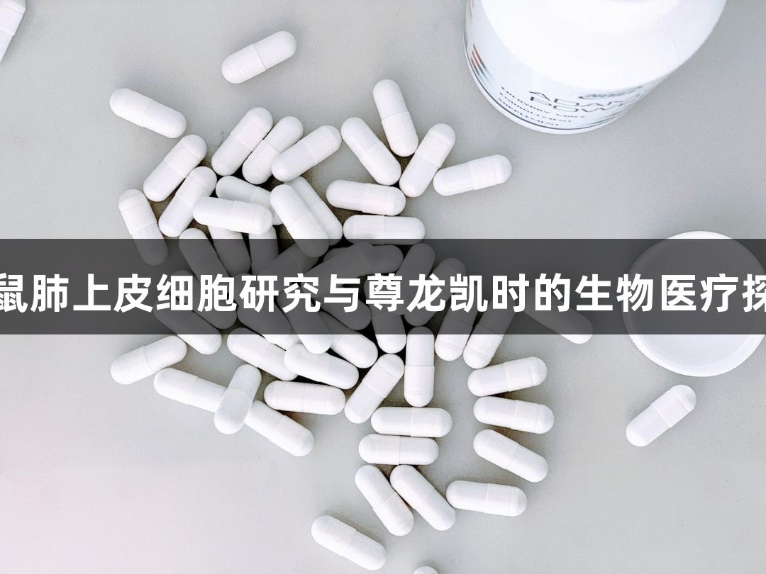 小鼠肺上皮细胞研究与尊龙凯时的生物医疗探索
