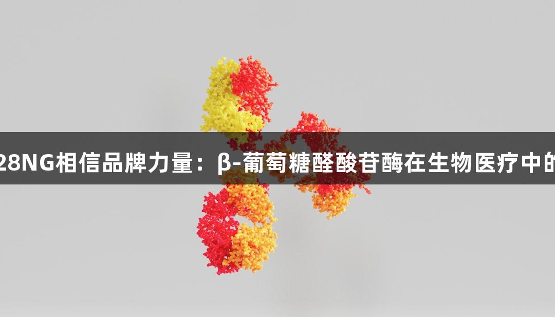 南宫28NG相信品牌力量：β-葡萄糖醛酸苷酶在生物医疗中的应用