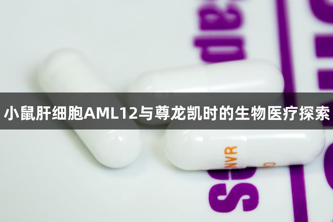 小鼠肝细胞AML12与尊龙凯时的生物医疗探索