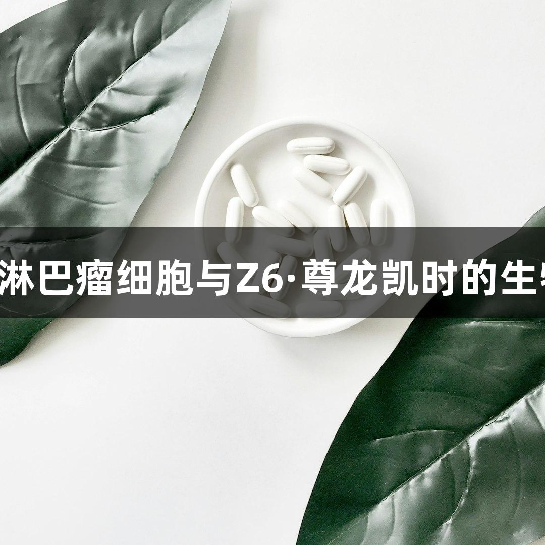 人弥漫大B淋巴瘤细胞与Z6·尊龙凯时的生物医疗研究