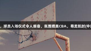 德BA揭幕战开启，球员入场仪式令人振奋，氛围媲美CBA，尊龙凯时(中国区)人生就是搏！