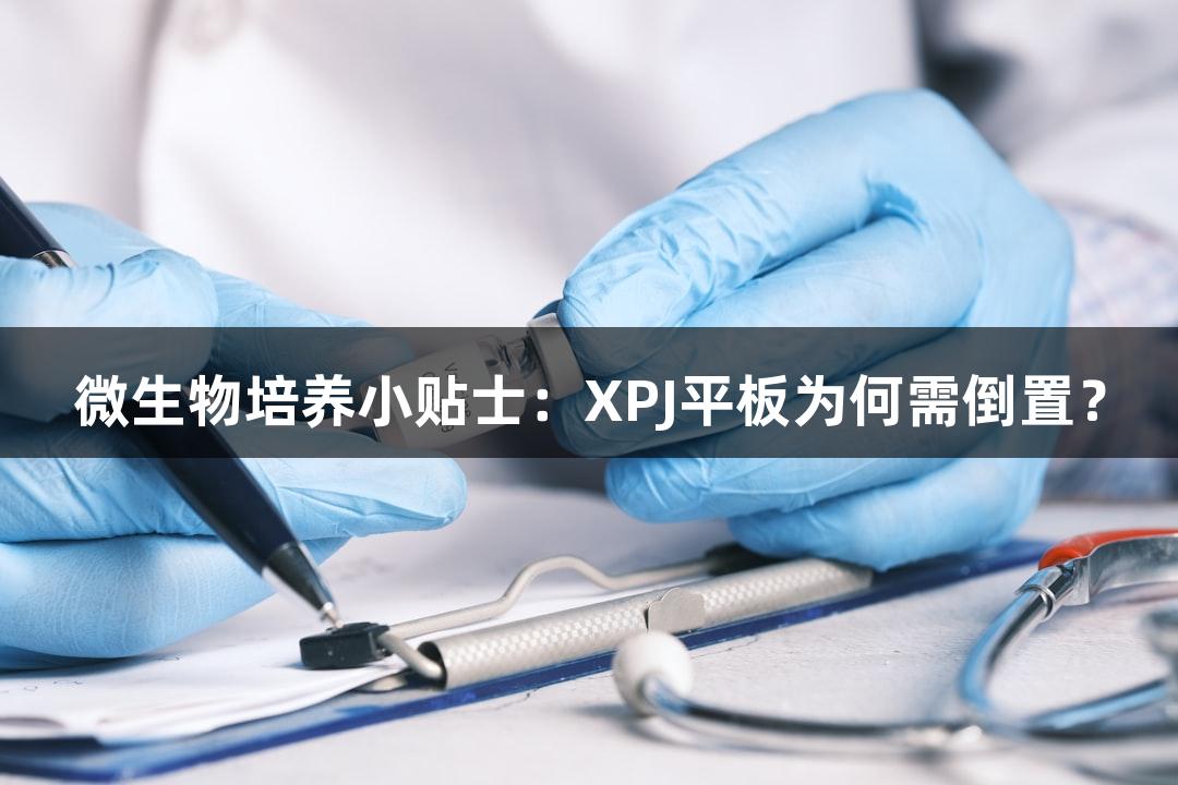 微生物培养小贴士：XPJ平板为何需倒置？