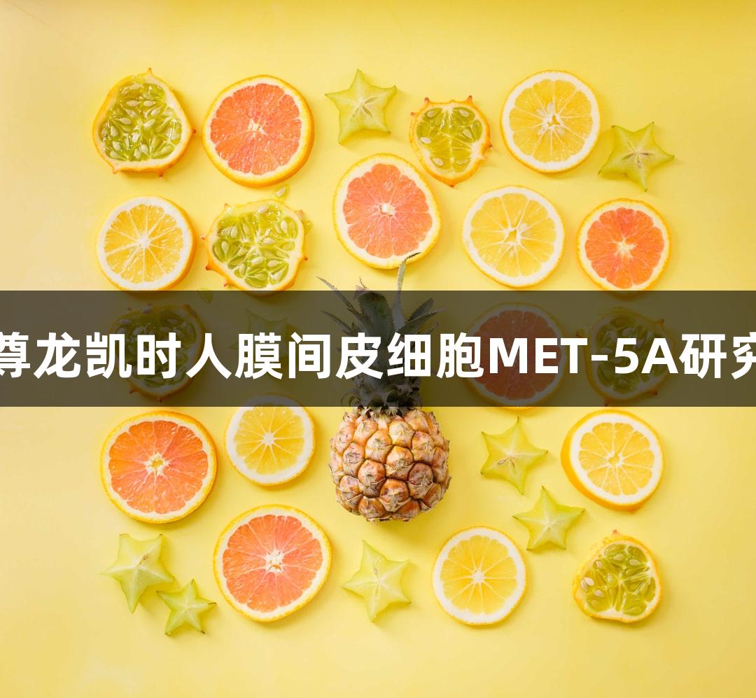 尊龙凯时人膜间皮细胞MET-5A研究