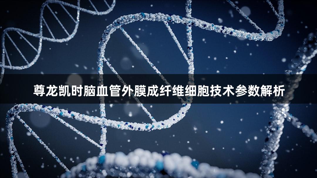 尊龙凯时脑血管外膜成纤维细胞技术参数解析