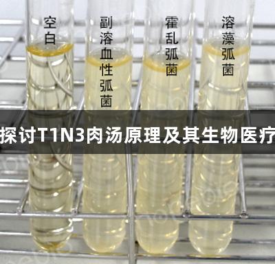 尊龙凯时探讨T1N3肉汤原理及其生物医疗实验现象
