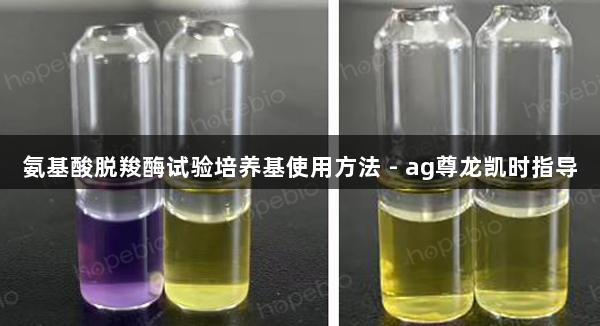 氨基酸脱羧酶试验培养基使用方法 - ag尊龙凯时指导