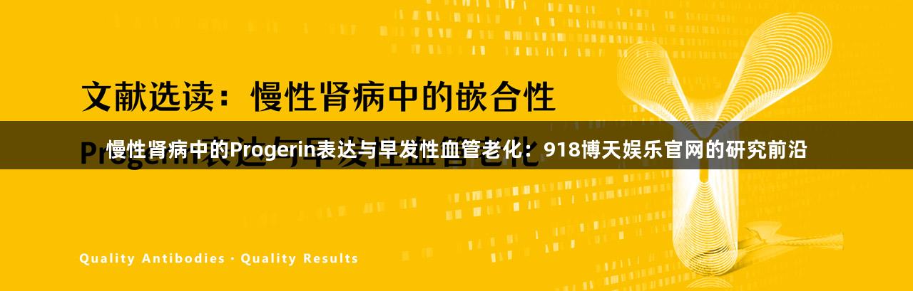 慢性肾病中的Progerin表达与早发性血管老化：918博天娱乐官网的研究前沿