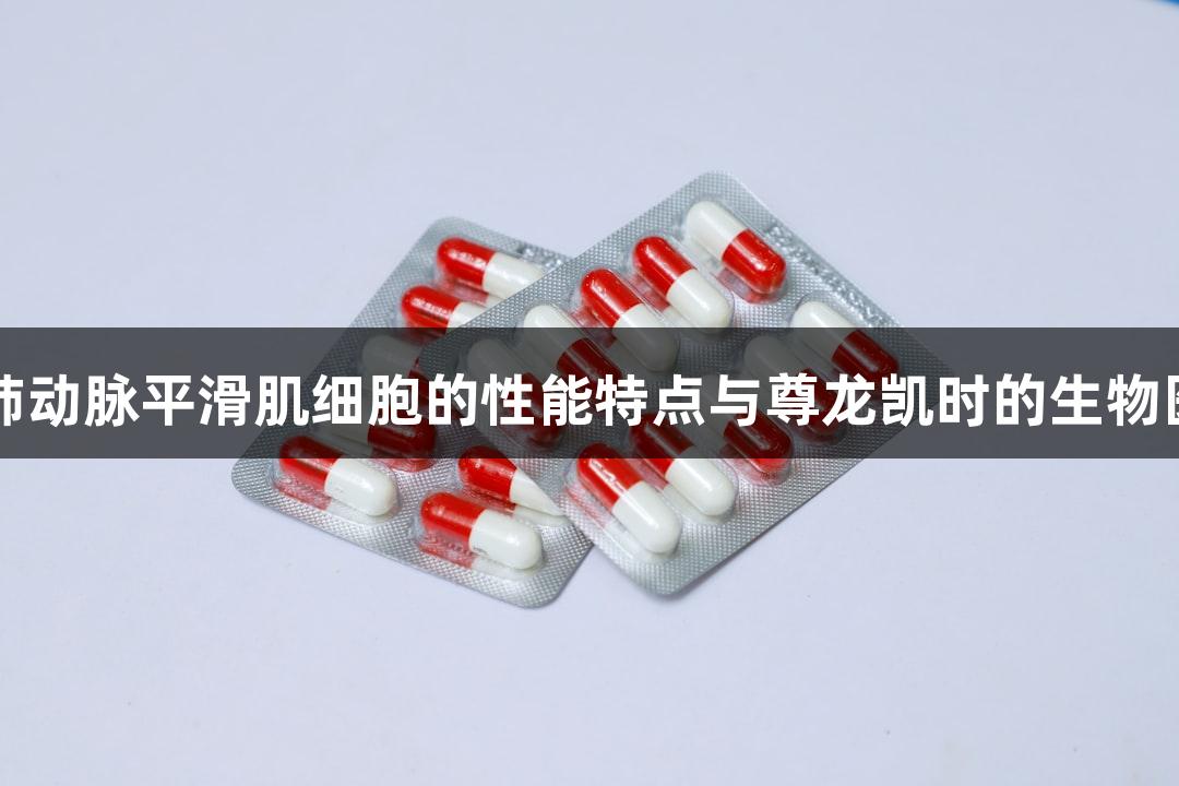 羊原代肺动脉平滑肌细胞的性能特点与尊龙凯时的生物医疗应用