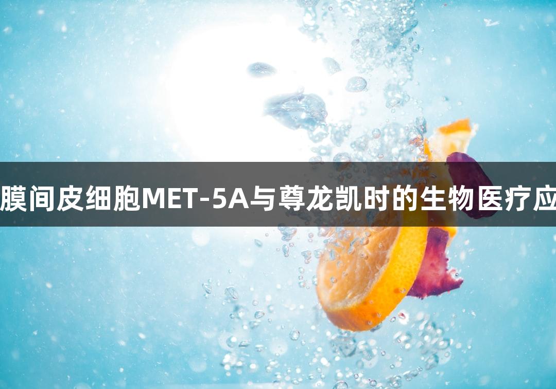 人膜间皮细胞MET-5A与尊龙凯时的生物医疗应用