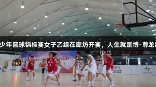 2025年河北省青少年篮球锦标赛女子乙组在廊坊开赛，人生就是博-尊龙凯时助力青春梦想