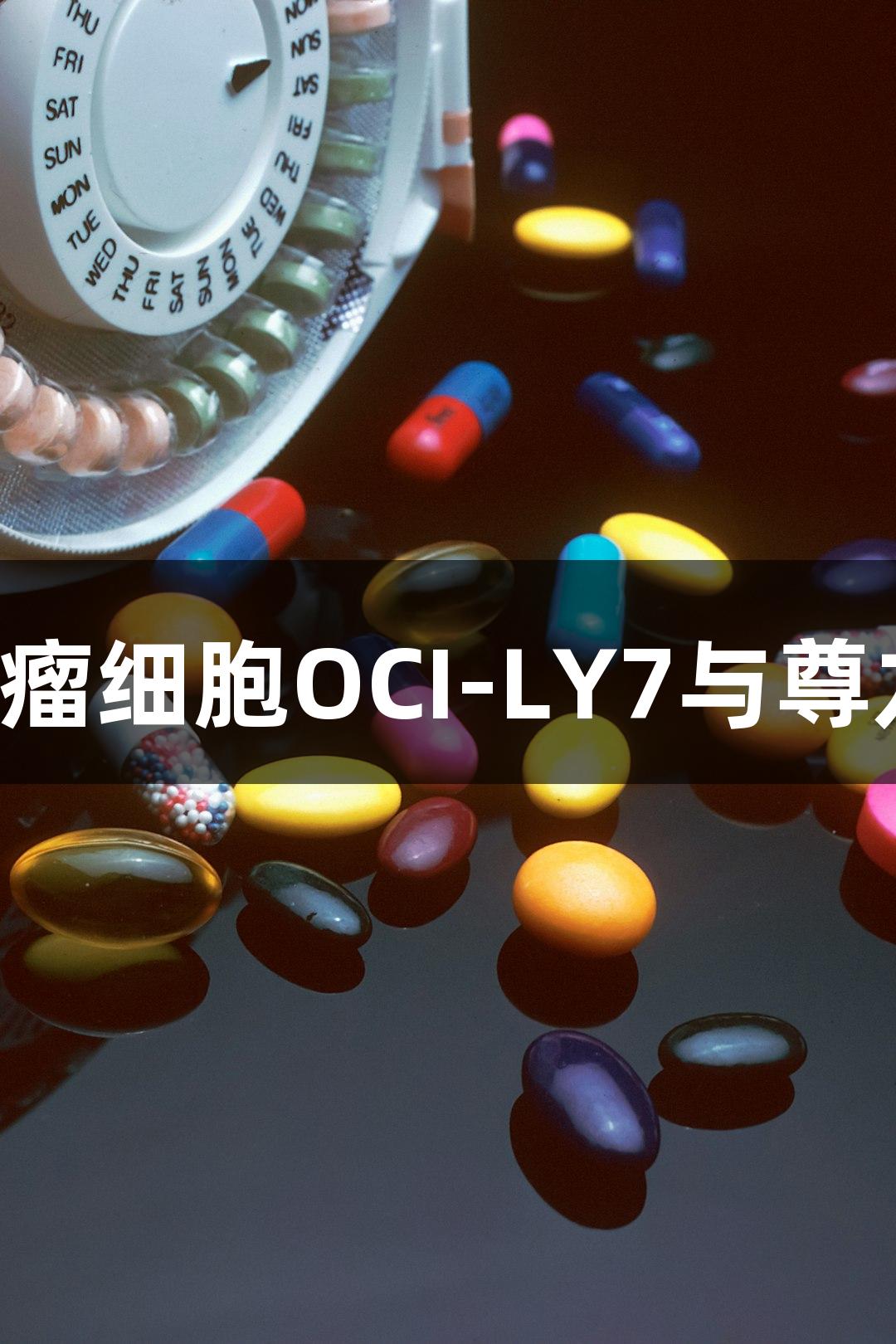 人弥漫性大B细胞淋巴瘤细胞OCI-LY7与尊龙凯时的生物医疗研究