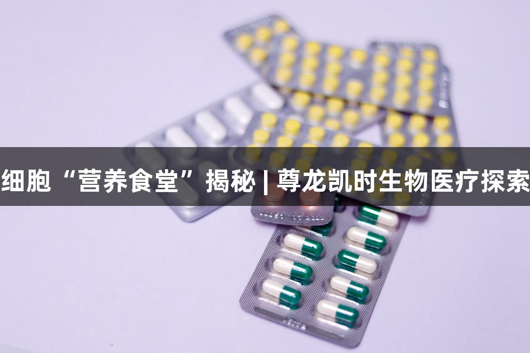 细胞“营养食堂”揭秘 | 尊龙凯时生物医疗探索