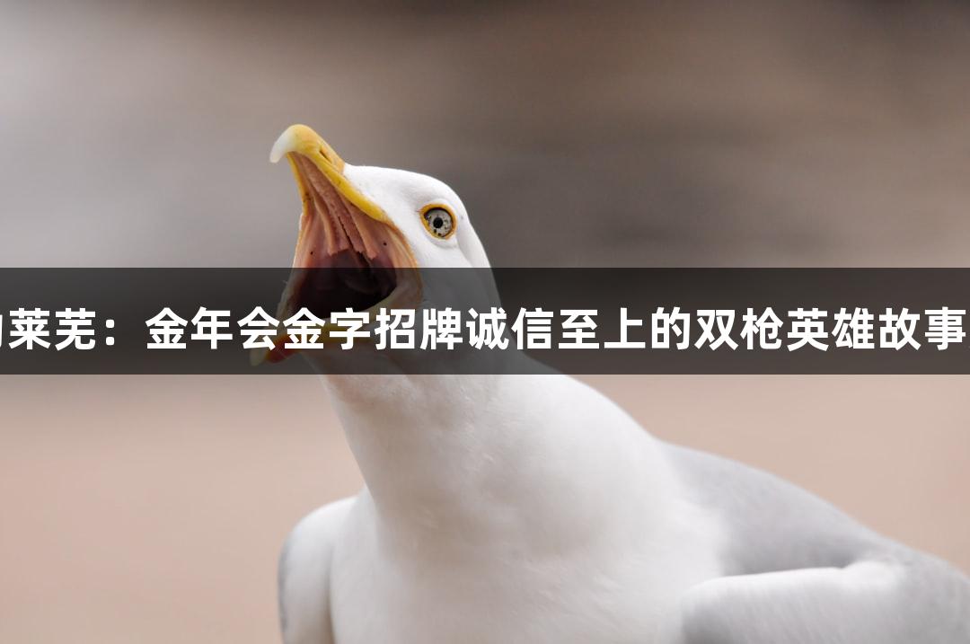 红动莱芜：金年会金字招牌诚信至上的双枪英雄故事展播