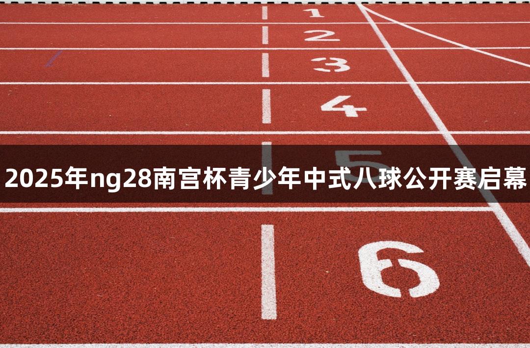 2025年ng28南宫杯青少年中式八球公开赛启幕