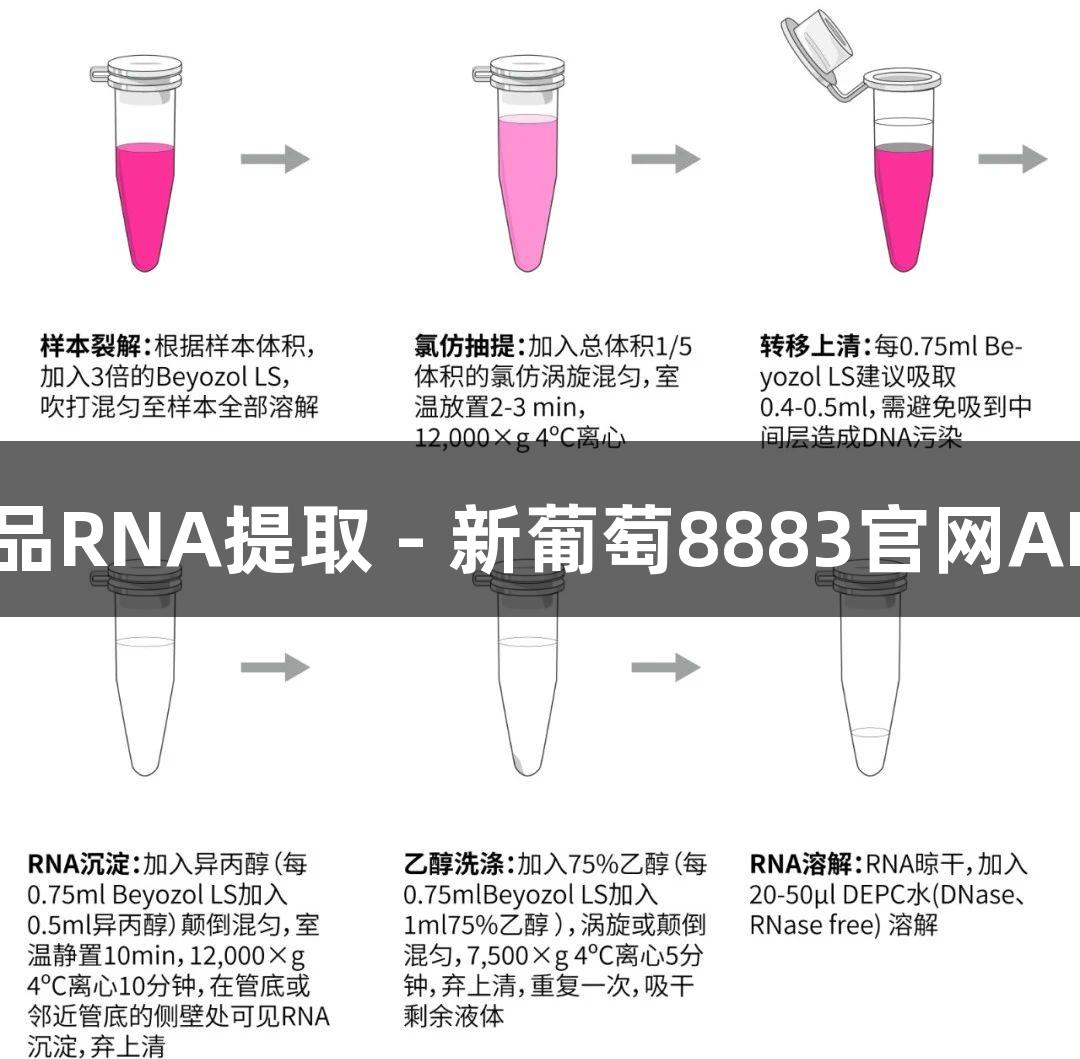 液体样品RNA提取 - 新葡萄8883官网AMG助力