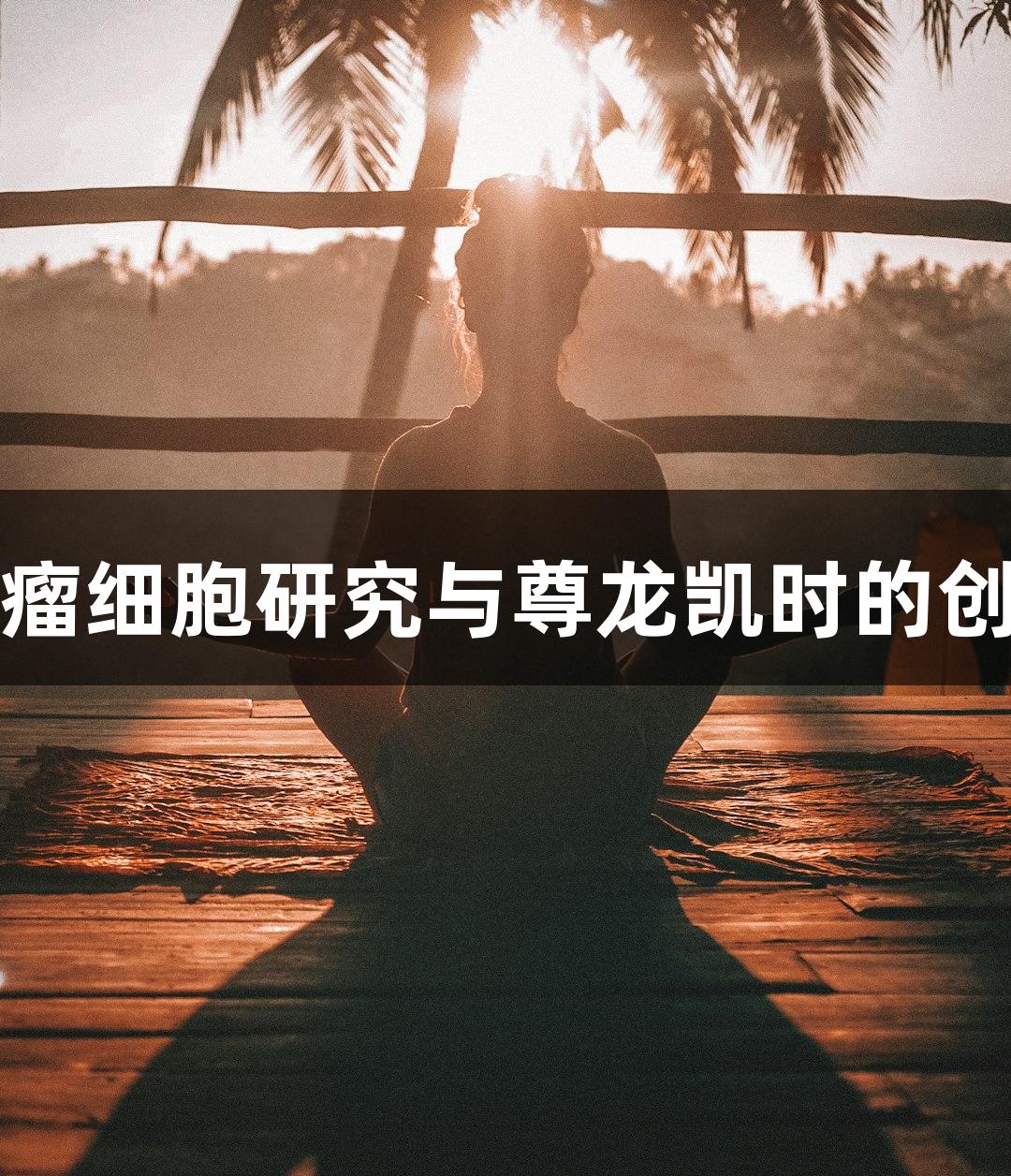 人脑膜瘤细胞研究与尊龙凯时的创新探索