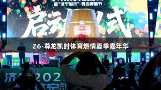 Z6·尊龙凯时体育燃情夏季嘉年华