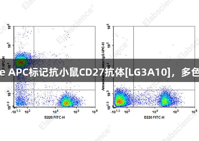 尊龙凯时推出Elabscience APC标记抗小鼠CD27抗体[LG3A10]，多色标记兼容，提升实验效率！