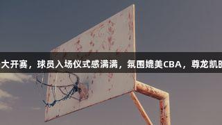 德BA揭幕战盛大开赛，球员入场仪式感满满，氛围媲美CBA，尊龙凯时*人生就是博！